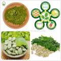 Moringa oleifera Powder Moringa oleifera Extract